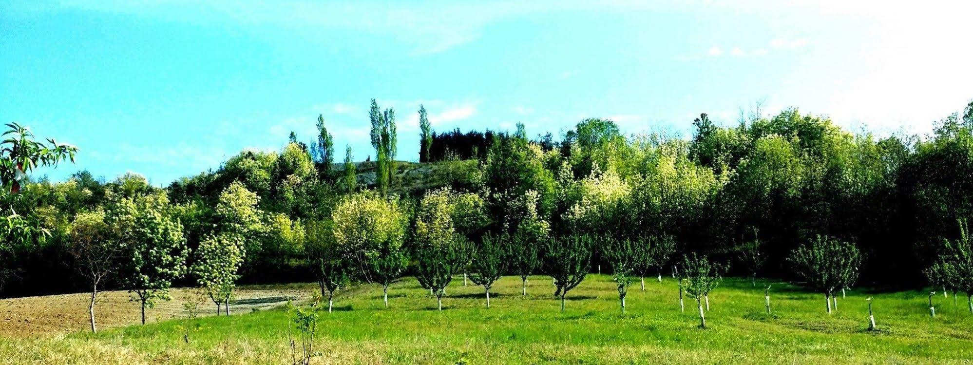 Tenuta Valdorso - Agri Resort Montechiaro D'acqui Exterior foto